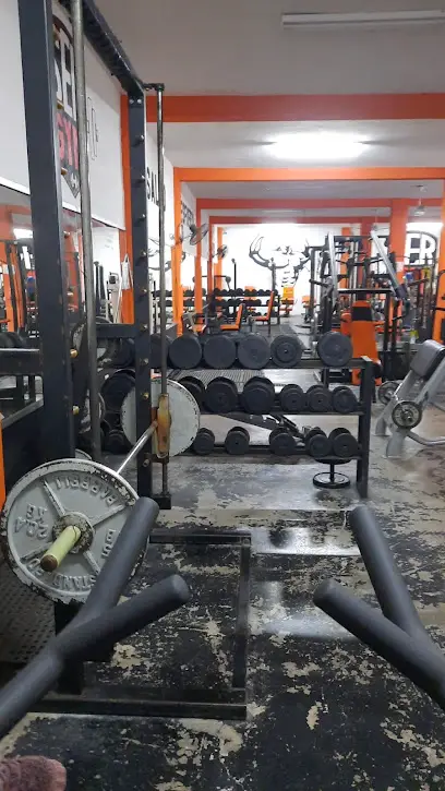 SER GYM