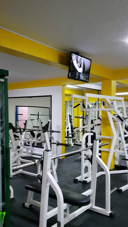 OLYMPUS MB FITNESS