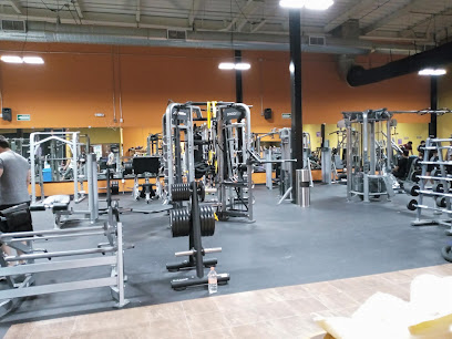 Anytime Fitness Alamos
