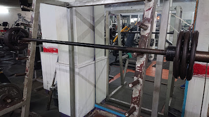 Zippy Sport Gym