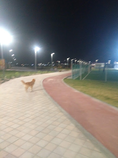 Cancha Valle De Lincoln