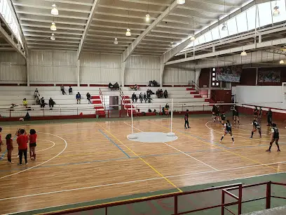 Gimnasio Pablo Collin