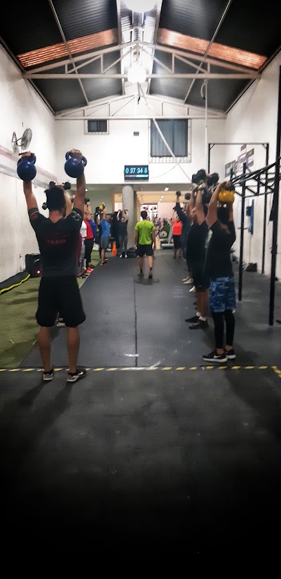 FLEX GYM Concept