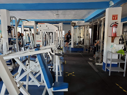 GIMNASIO MR. COLOSO