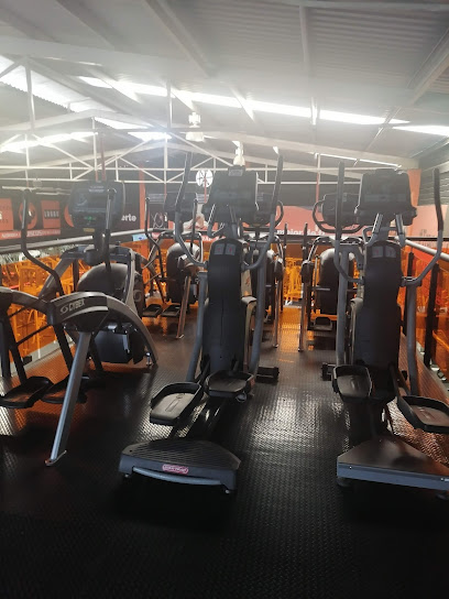Gym Orange Zone