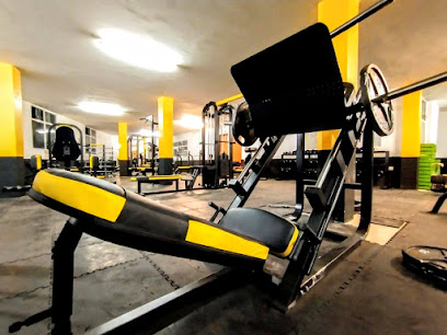 The brothers gym