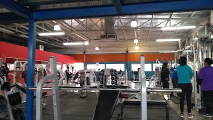 sporting GYM