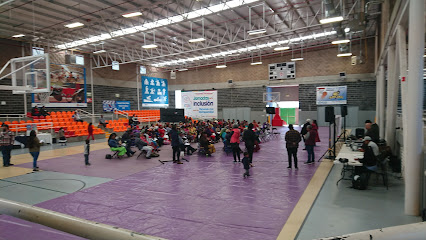 Gimnasio Adaptado