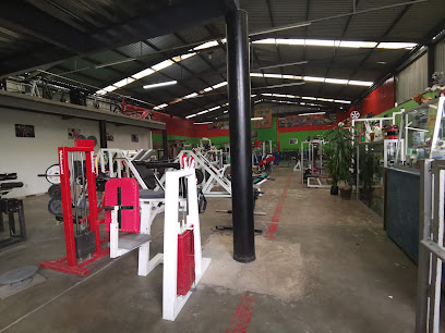 Gym Fuerza Y Salud