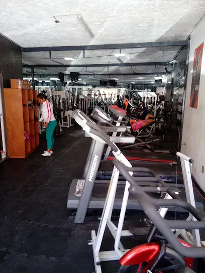 My gym