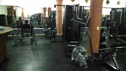 Xtreme Muscle GYM