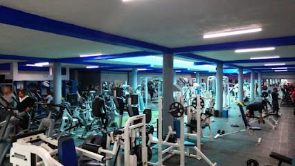 Fit Body Gym