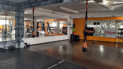 Lean Body Gym