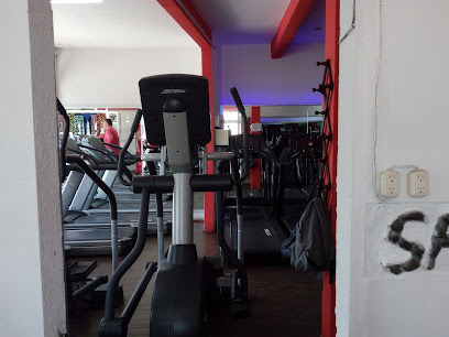 Fit My Body Gym