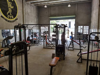 Ronnis Gym