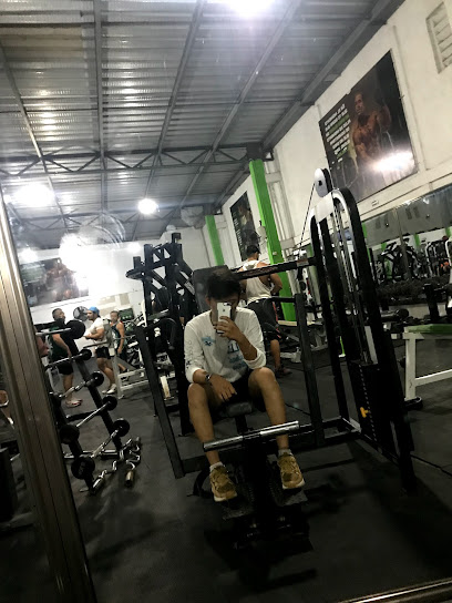 Muscle Mid