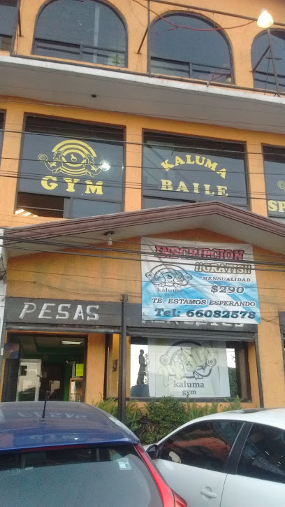 Maluma Gym