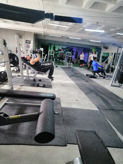 Roc Fit Gym