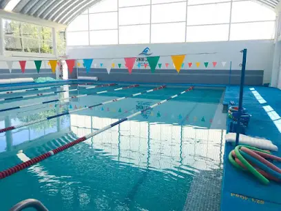 Swim Club Natación & Gym
