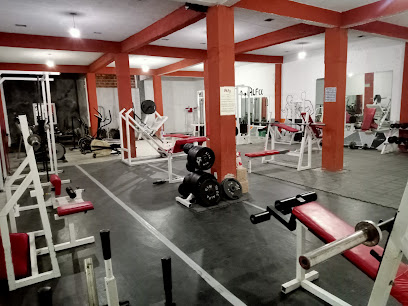 Gimnasio alfa gym