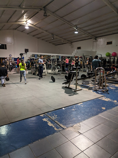 Gimnasio POTROS