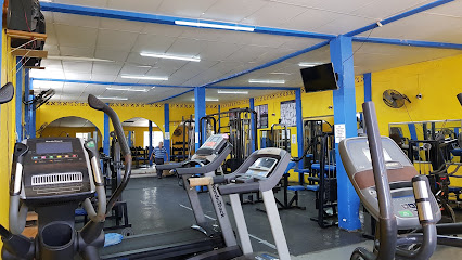 GYM FERRER