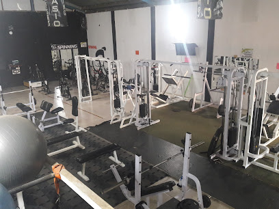 GYM, ZONA 87