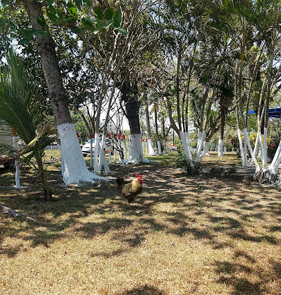 Campo Deportivo La Laguna