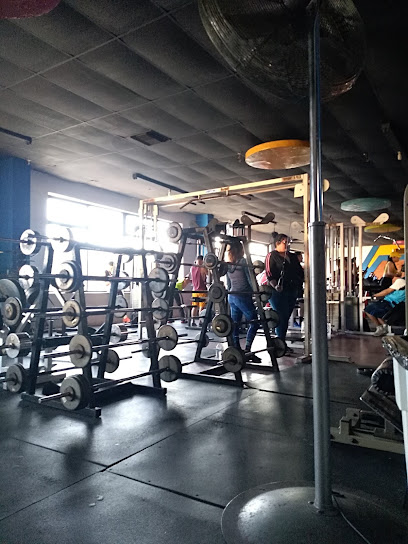Gym-y's