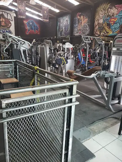 Zona GYM