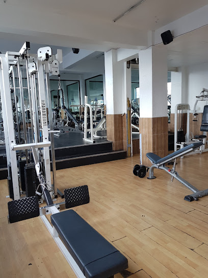 GYM presidentes