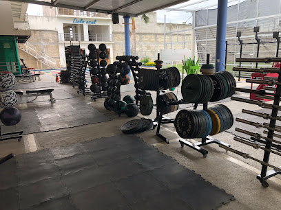 Elite Fitness Iguala