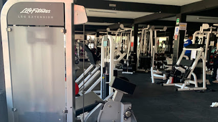 GYM BLACK MASTER