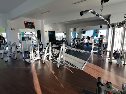 Levy Fit