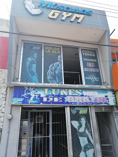 Músculos Gym