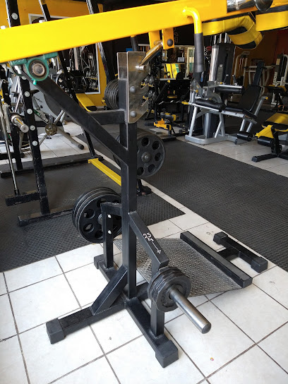 Obsession Gym