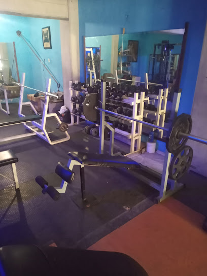 Gym Vital