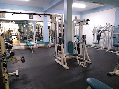 GIMNASIO MIXTO GORILAS