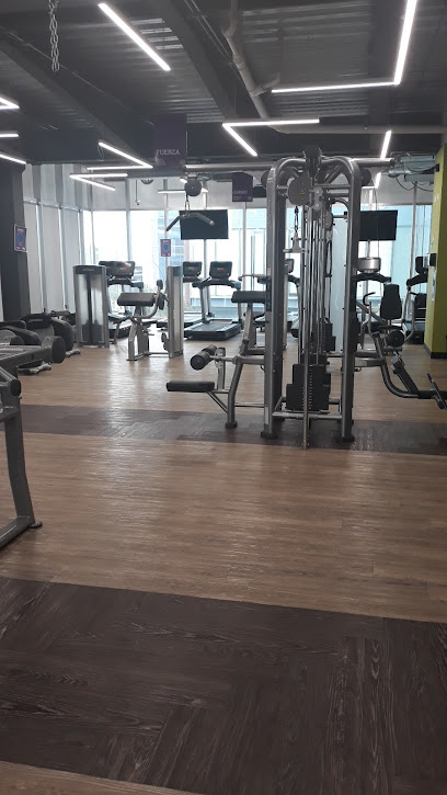 Anytime Fitness Parque Centro