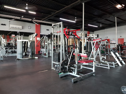 Pro Body GYM