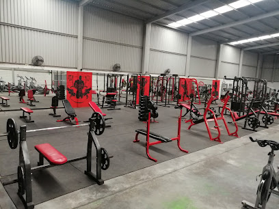Fabrica de Campeones GYM
