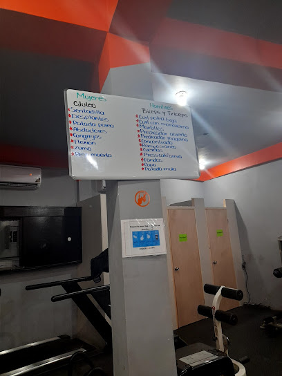 Under gym