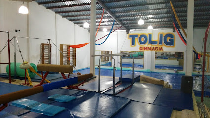 Gimnasia Olímpica Omais