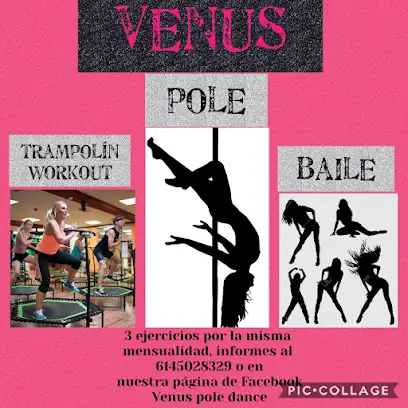 Pole Dance VENUS