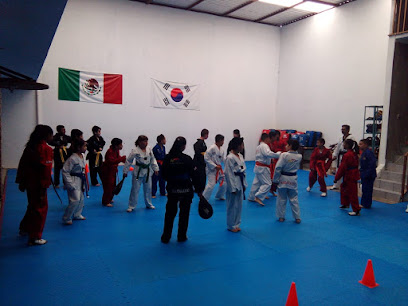 tae kwon do lobos blancos