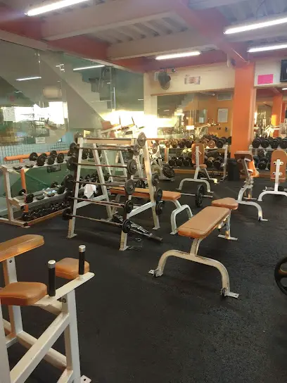 Orange GYM TAXQUENA