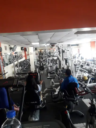 GLADIATORS GYM