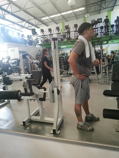 FitnessVida