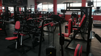 Cool Gym And Fitness