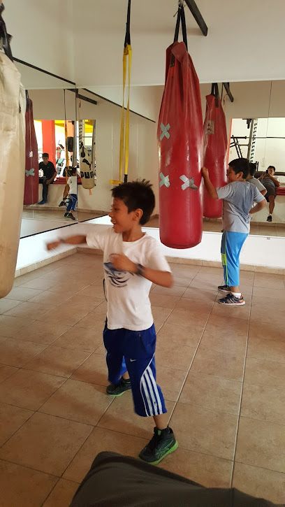Nitrix Gym